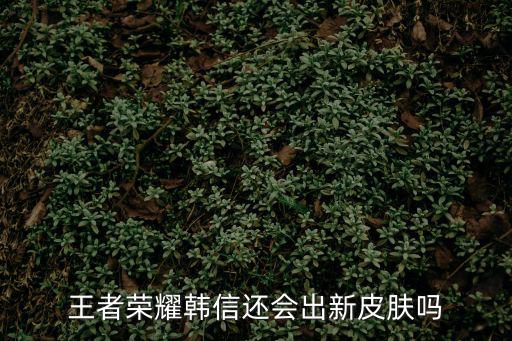 王者荣耀韩信还会出新皮肤吗