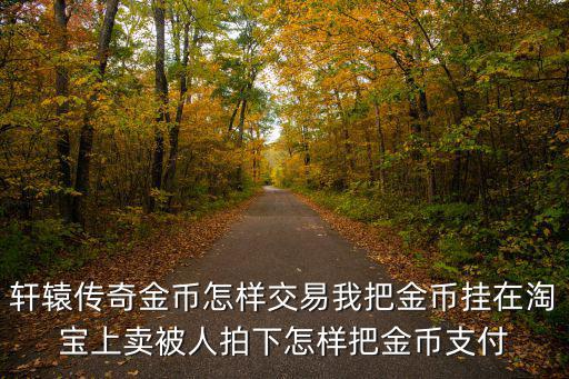轩辕传奇金币怎样交易我把金币挂在淘宝上卖被人拍下怎样把金币支付