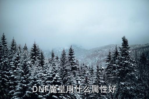 dnf魔皇号选什么属性，DNF魔皇用什么属性好