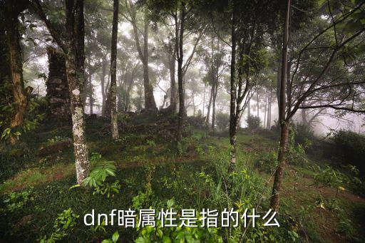 dnf暗属性有什么效果，地下城与勇士暗属性是什么意思