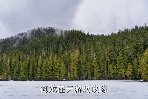 御龙在天游戏攻略