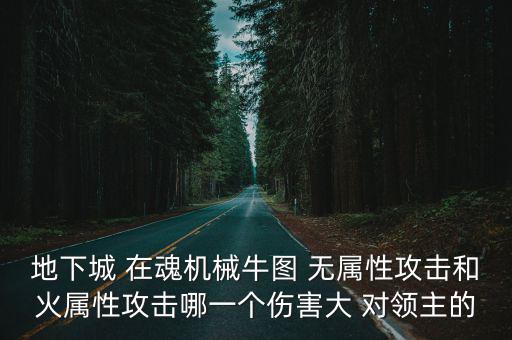 dnf魂牛弱什么属性，地下城 在魂机械牛图 无属性攻击和火属性攻击哪一个伤害大 对领主的