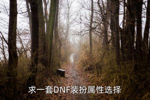 求一套DNF装扮属性选择