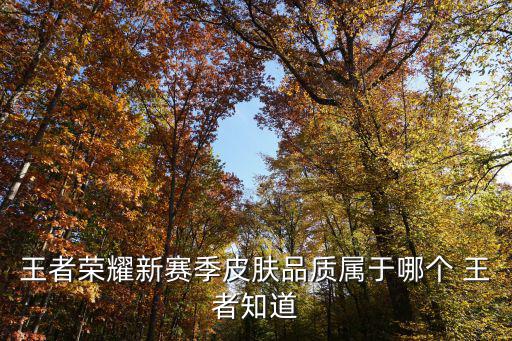王者荣耀新赛季皮肤品质属于哪个 王者知道