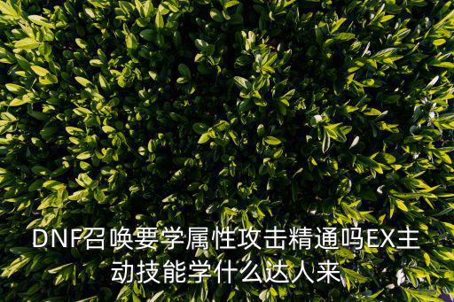 DNF召唤要学属性攻击精通吗EX主动技能学什么达人来