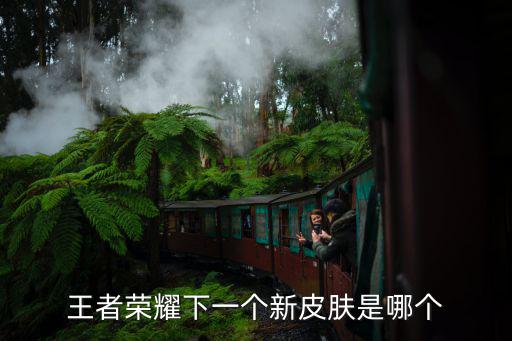 王者荣耀下一个新皮肤是哪个