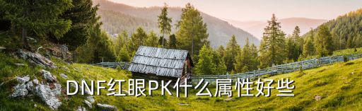 dnf红眼pk打什么属性，DNF红眼PK用什么属性的武器好