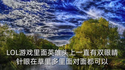 LOL手游里面的眼睛怎么关闭，英雄联盟的眼 丢出去之后 按键盘哪个按键使之快速消失