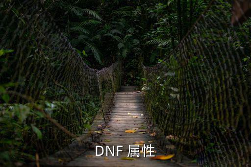 DNF 属性