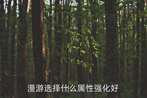 漫游选择什么属性强化好