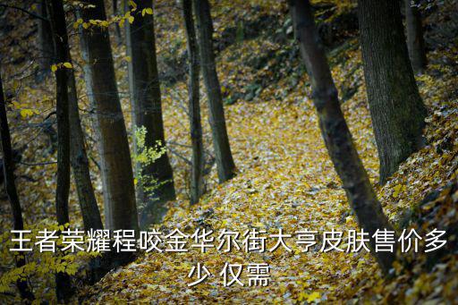 王者荣耀程咬金华尔街大亨皮肤售价多少 仅需