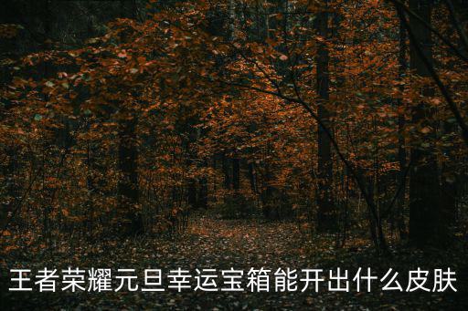 王者荣耀元旦幸运宝箱能开出什么皮肤
