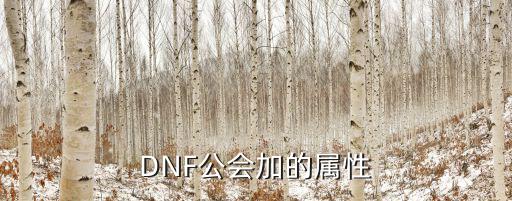 DNF公会加的属性