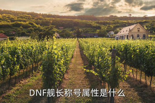 dnf团长称号是什么属性，地下城与勇士的称号都是什么属性