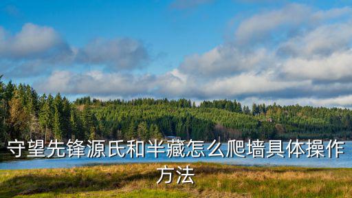手游守望先锋英雄怎么爬墙，守望先锋的半藏怎么爬墙别说靠墙按空格试过了没用墙的高度我