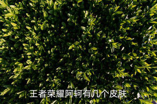 王者荣耀阿轲新皮肤有什么，王者荣耀阿轲的致命风华有特效吗双十一返厂看看买这个值不值
