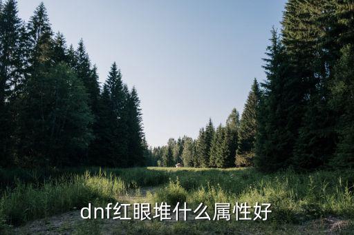 dnf红眼适合堆什么属性，dnf现版本红眼堆什么属强