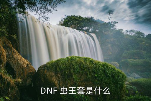 DNF 虫王套是什么