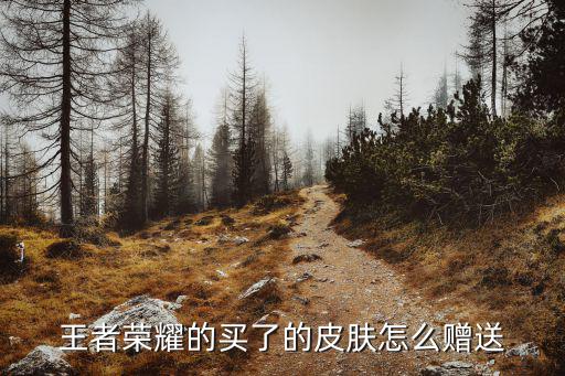 王者荣耀的买了的皮肤怎么赠送