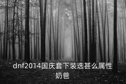dnf奶爸头饰什么属性，dnf2014国庆套下装选甚么属性奶爸