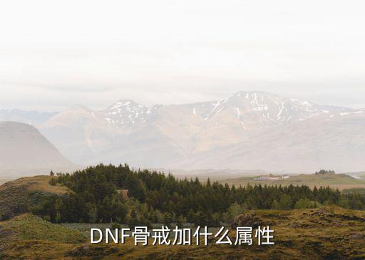 dnf婚戒满属性加什么，勇者戒指满属性多少