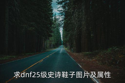 dnf恩特鞋子是什么属性，dnf时装鞋子的属性有什么 多少钱 永久的