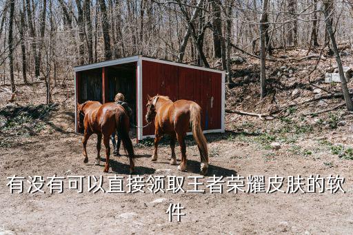 有没有可以直接领取王者荣耀皮肤的软件