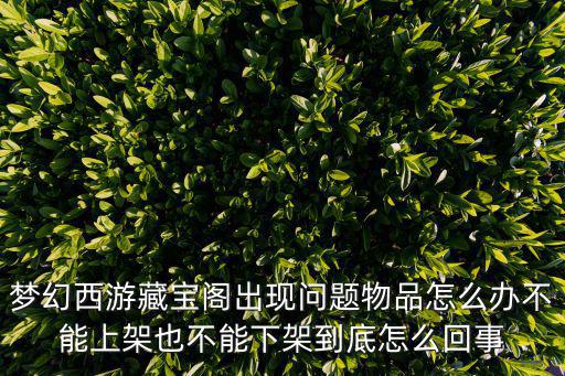 梦幻西游藏宝阁出现问题物品怎么办不能上架也不能下架到底怎么回事