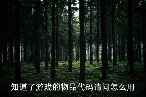怎么替换游戏装备代码数字，知道了游戏的物品代码请问怎么用