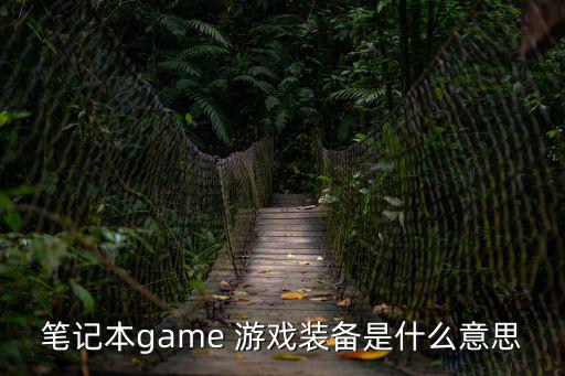 笔记本game 游戏装备是什么意思