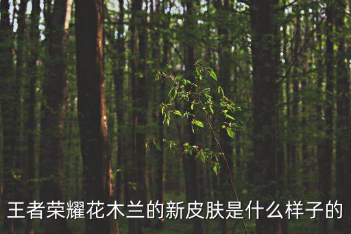 王者荣耀花木兰的新皮肤是什么样子的