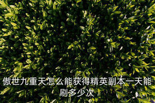 傲世九重天怎么能获得精英副本一天能刷多少次