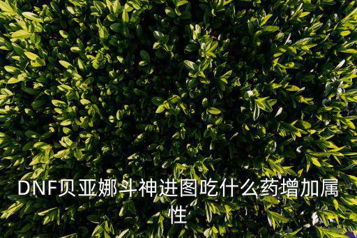 DNF贝亚娜斗神进图吃什么药增加属性