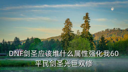 DNF剑圣应该堆什么属性强化我60平民剑圣光巨双修