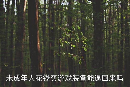 未成年人花钱买游戏装备能退回来吗