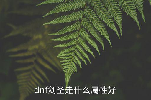 dnf剑圣强什么属性最好，dnf剑圣走什么属性好