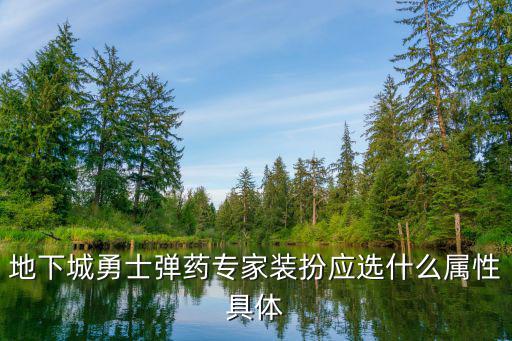 地下城勇士弹药专家装扮应选什么属性具体