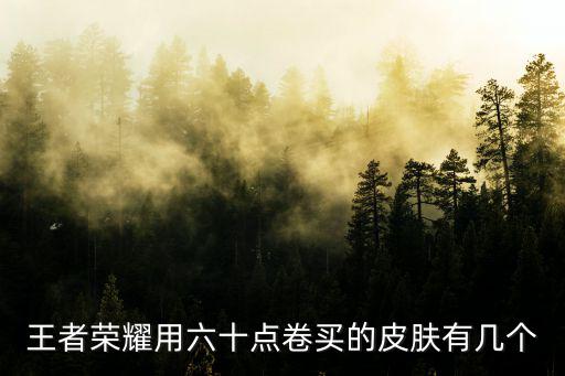 王者荣耀610新皮肤有哪些，王者荣耀有什么新人物和新皮肤要出来