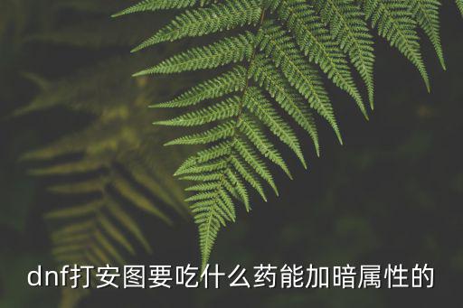 dnf什么药加暗属性抗性，dnf打安图要吃什么药能加暗属性的