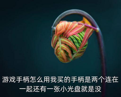 游戏手柄怎么用我买的手柄是两个连在一起还有一张小光盘就是没