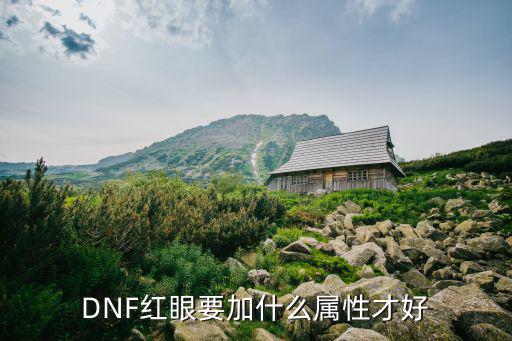 dnf红眼属性上什么好，dnf红眼堆什么属性好