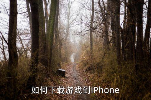 如何下载游戏到IPhone