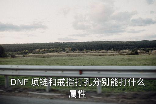 DNF 项链和戒指打孔分别能打什么属性