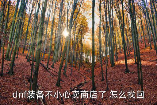 dnf装备不小心卖商店了 怎么找回