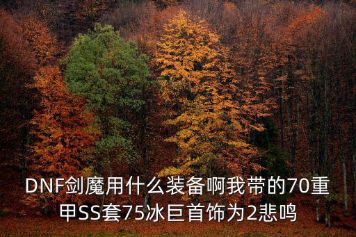 DNF剑魔用什么装备啊我带的70重甲SS套75冰巨首饰为2悲鸣