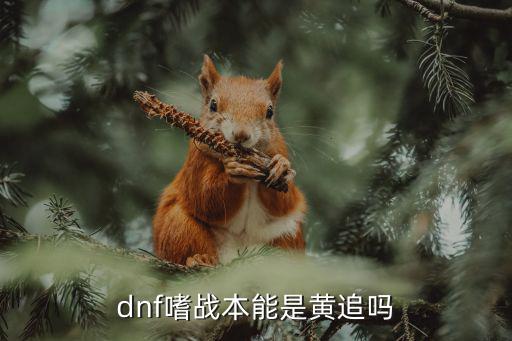 dnf嗜战本能是黄追吗