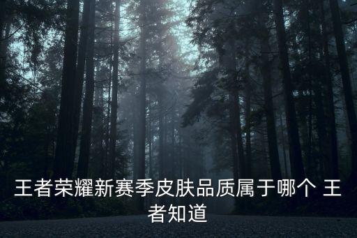 王者荣耀新赛季皮肤品质属于哪个 王者知道