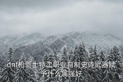 dnf枪剑士特工职业自制史诗武器赋予什么属强好