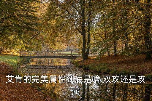 艾肯的完美属性到底是啥 双攻还是攻属