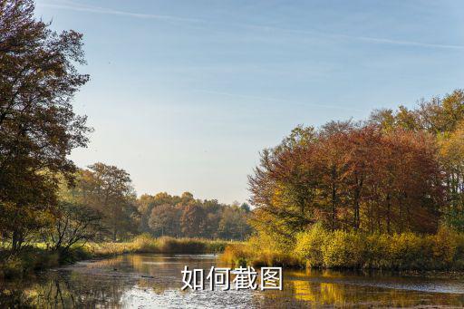 神武4手游电脑端怎么截图，我想把游戏画面的一部分截屏怎么做